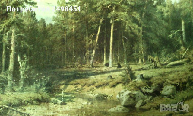 Картина Сосно́вый лес от Иван Шишкин. Москва., снимка 4 - Картини - 28171126