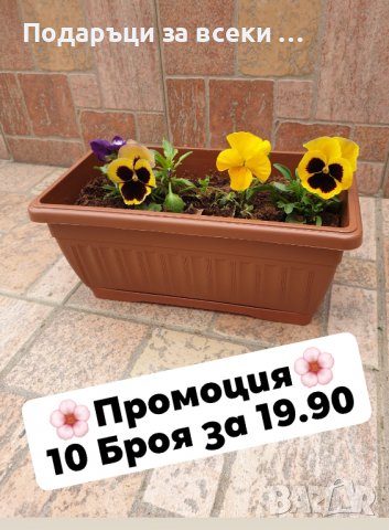 ПРОМОЦИЯ 10 БРОЯ за 19.90 !!! Пластмасово сандъче за цветя с подложка 30 см. За градината , снимка 2 - Саксии и кашпи - 28303988