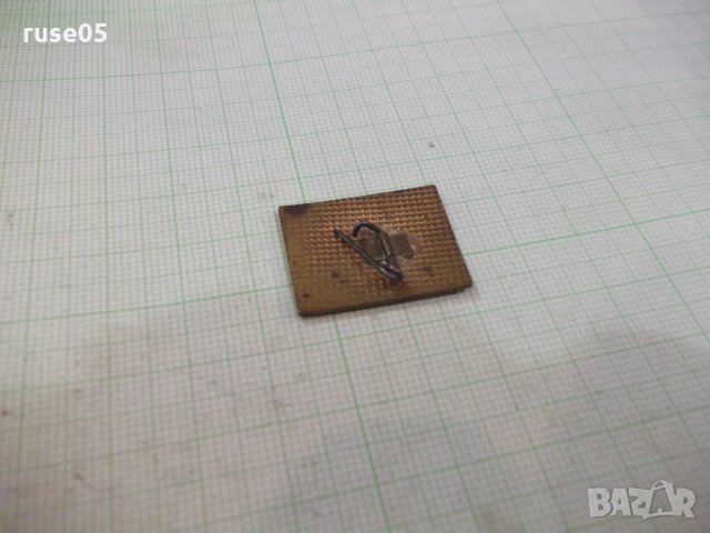 Значка "Пловдив - 1970", снимка 6 - Други ценни предмети - 26469054