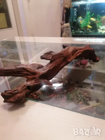 Продавам изкуствени медузи за аквариум, снимка 7 - Аквариуми - 47764087