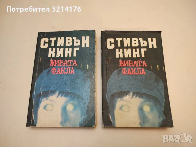 Подпалвачката - Стивън Кинг, снимка 5 - Художествена литература - 50314101