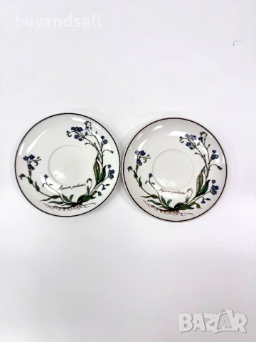 Villeroy & Boch Botanica чаши чинии, снимка 6 - Чинии - 53450355