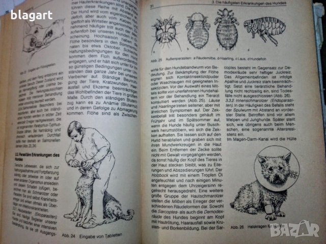 "Енциклопедия на кучето"-Германия, снимка 12 - Специализирана литература - 33458448