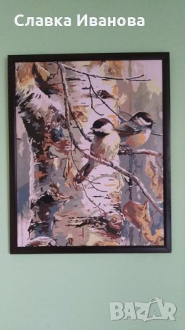 Картина в рамка - 50*40 /6 различни броя/