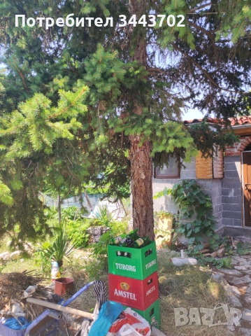 Продавам къща в Златна Ливада, снимка 5 - Къщи - 53215395