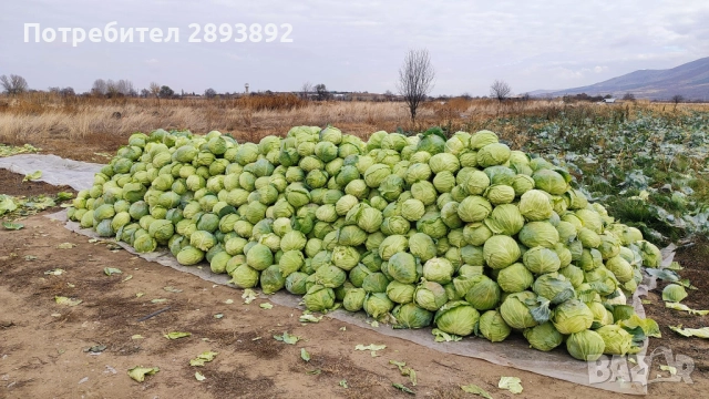 Продавам Марлу и кьосе  в с. Синитово, снимка 2 - Друго - 52624487