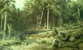 Картина Сосно́вый лес от Иван Шишкин. Москва., снимка 4