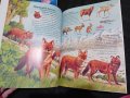 4 нови детски енциклопедии, снимка 6