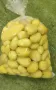 Продаваме обелени и нарязани картофи, снимка 4