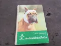 ABC DER HUNDEKRANKHEITEN 0302251439, снимка 3