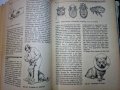 "Енциклопедия на кучето"-Германия, снимка 12