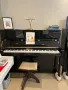 НОВО пиано Zimmermann - S4 с 5 г. гаранция от магазин за пиана Мелодия , снимка 1