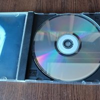 Руски диск Rollins Band - Come in and burn, снимка 3 - CD дискове - 43253401