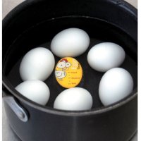 Измерващ уред, за варене на яйца, Великден, снимка 2 - Аксесоари за кухня - 43955462