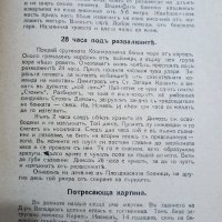 ПРОДАВАМ СТАРА ЦАРСКА КНИЖКА - ЗЕМЕТРЕСЕНИЕТО В ЮЖНА БЪЛГАРИЯ/ЧИРПАН 1928, снимка 3 - Антикварни и старинни предмети - 43791934