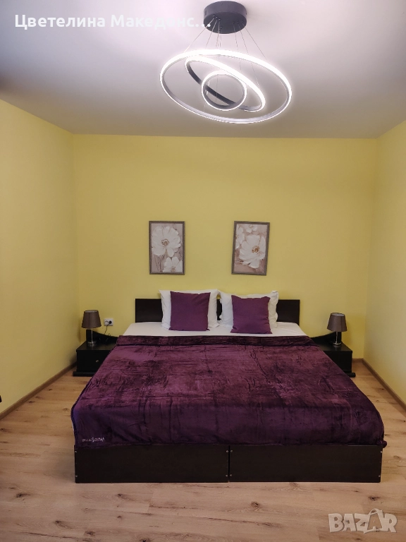 8 декември в Стаи за гости Цветето на Ангела, снимка 1