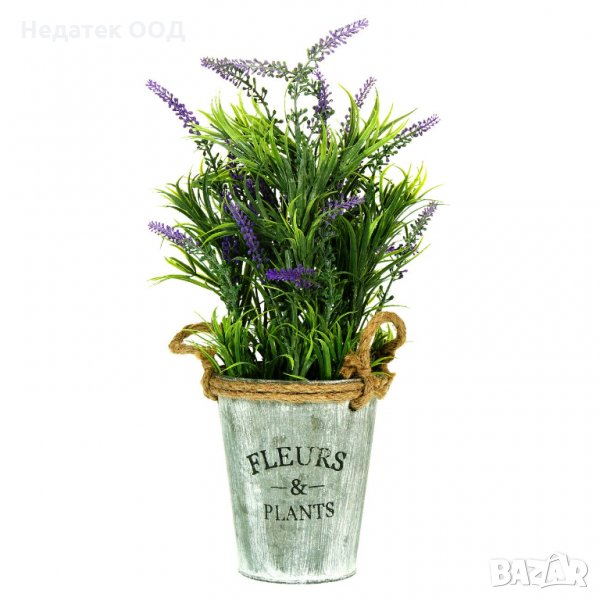Декоративно разстение лавандула в саксия, 13х36 см, снимка 1