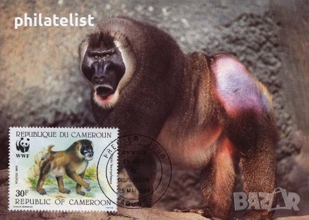 Камерун 1988 - 4 броя Карти Максимум - WWF, снимка 1