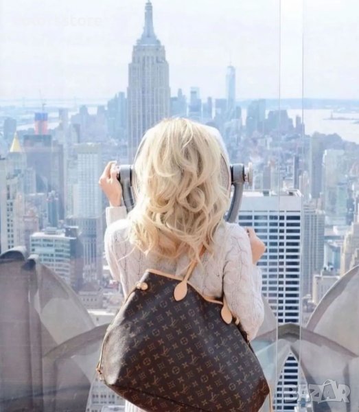 Чанта Louis Vuitton  код DS 321, снимка 1