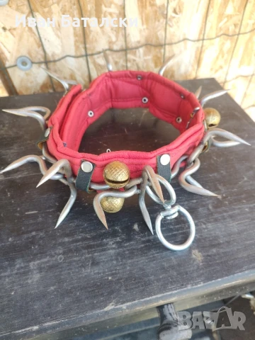 Кайшки от Турция за голямо Куче, снимка 3 - За кучета - 51188402