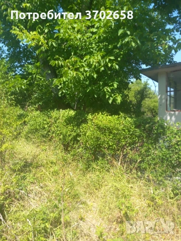 Къща в с.Беленци, снимка 11 - Къщи - 51159392