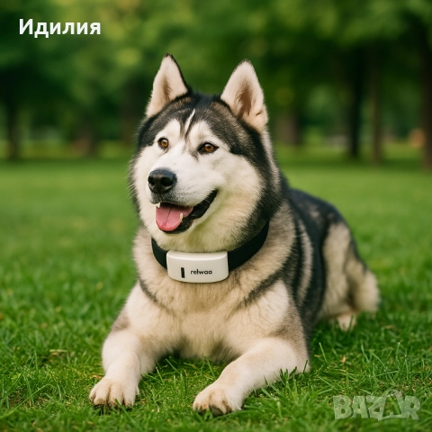 Тракер за домашен любимец - GPS локатор, снимка 9 - За кучета - 51698839