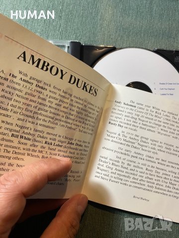 American Amboy Dukes,Savoy Brown, снимка 4 - CD дискове - 43525639