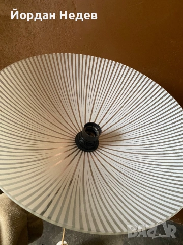 Полилей, снимка 2 - Полилеи - 53176774