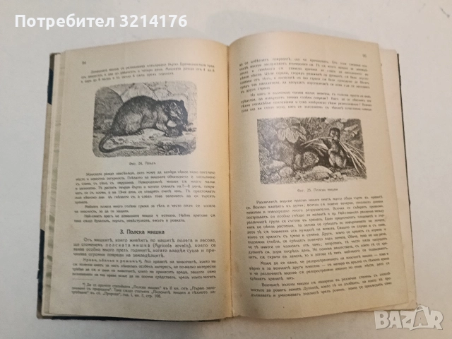 Животнитѣ от биологично гледище - Борис Митов (1935, Луксозна изработка, Отлично състояние), снимка 3 - Специализирана литература - 52773226