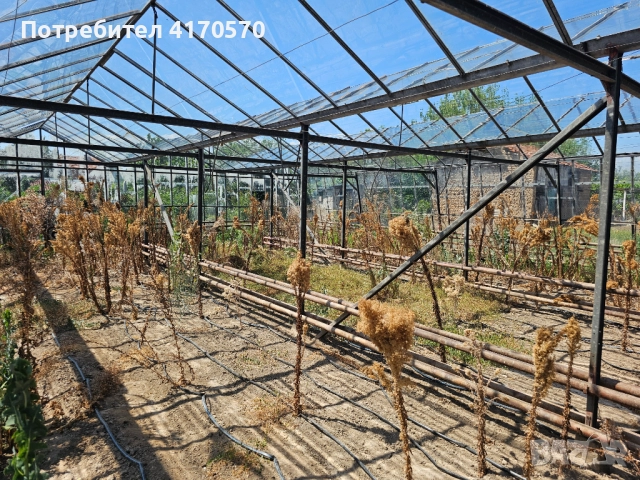Продава се стъклена оранжерия, снимка 14 - Оранжерии - 51642468