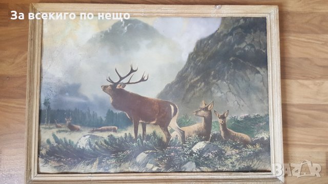картина в рамка