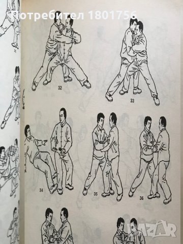 Ортодоксален Тай дзи цюан - 2 том, снимка 3 - Специализирана литература - 28454873