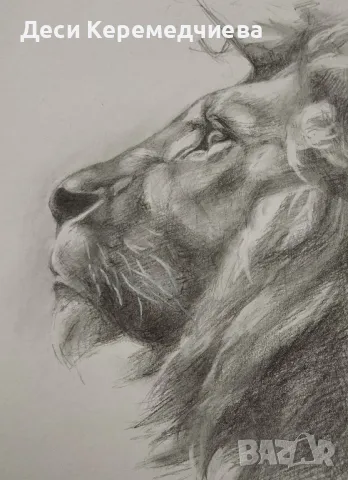 лъв, снимка 2 - Други - 49817099