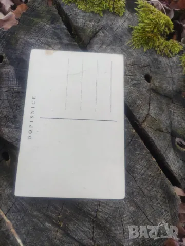 Пощенска картичка Атанас Дудуов : Жетварки, снимка 2 - Филателия - 48409435