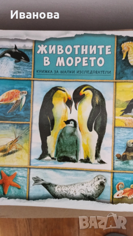 Животните в морето 