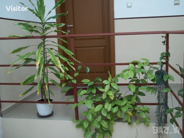 Kodak EasyShare M531  14MPx, снимка 15 - Фотоапарати - 52896491