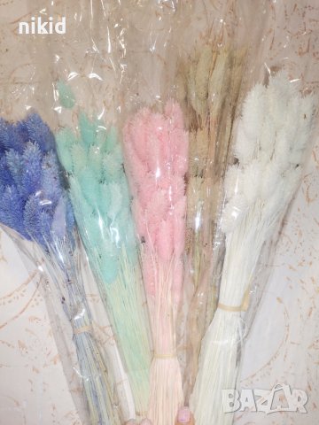 Сноп 10 бр сухи цветя декорация аранжиране ваза букет натурални заешка опашка пухче лагурус пухчета, снимка 2 - Изкуствени цветя - 43984470