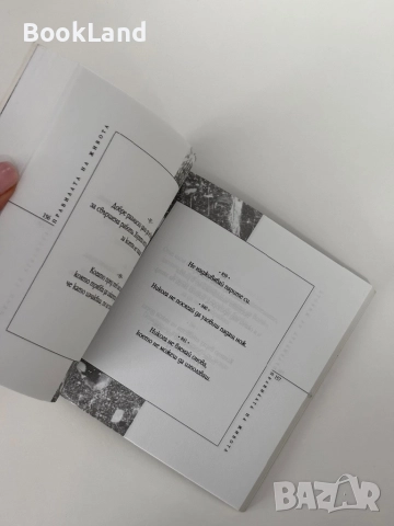 Правилата на живота| Втора част| Кибеа , снимка 5 - Други - 51846713