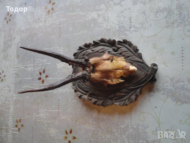 Уникален немски ловен трофей дърворезба 8, снимка 8 - Антикварни и старинни предмети - 43728551