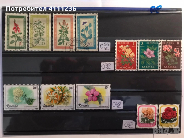 Флора - цена на всяка снимка!