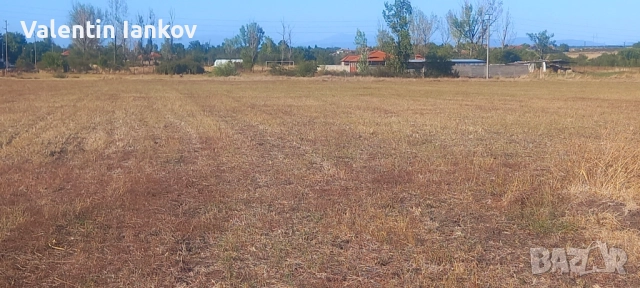 8 декара обработваема земеделска земя на 50 м.от село Конуш,с ток и вода 