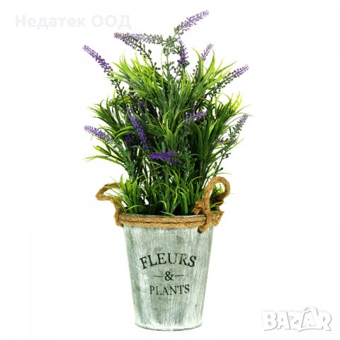 Декоративно разстение лавандула в саксия, 13х36 см