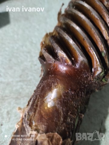 Ос с Пиньон , снимка 2 - Селскостопанска техника - 40024635