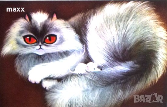 Картичка коте 1