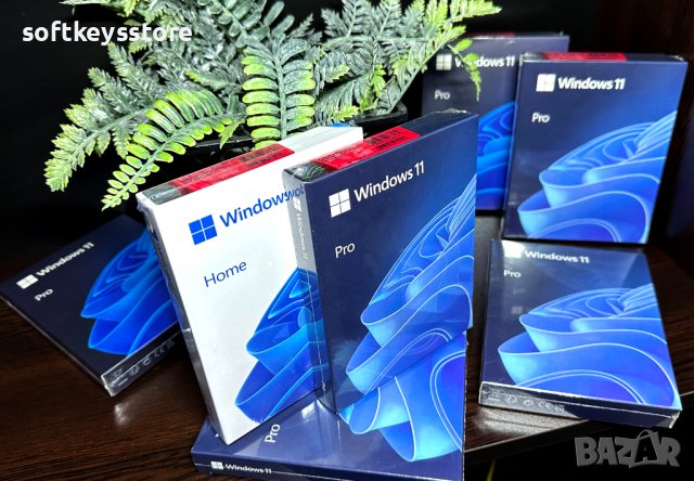 Windows 11 Home/Professional USB Пакет (ПРОМО до 29.02.2024), снимка 4 - Други - 39043454