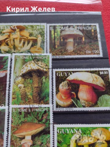 Пощенски марки чиста комплектна серия Гъби стари редки за колекция декорация - 22047, снимка 7 - Филателия - 36642280