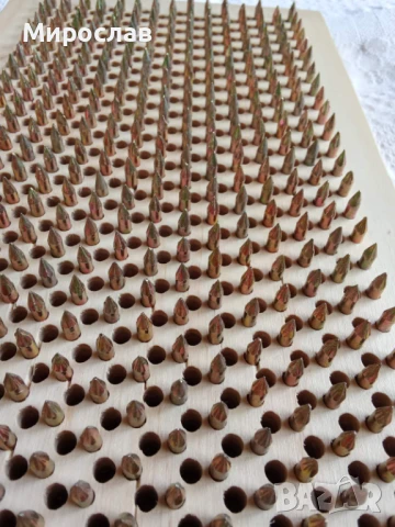 Садху за гвоздестоене с пирони , устойчиви на корозия, за начинаещи през 9мм., снимка 4 - Йога - 51082572