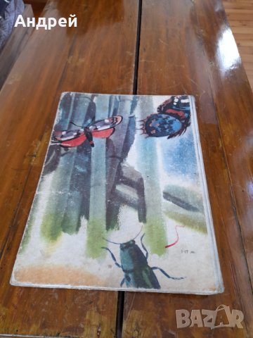 Детска книга Чипоноско, снимка 5 - Детски книжки - 36769141