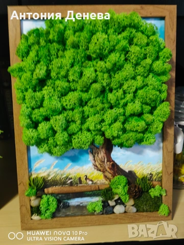 Пана със скандинавски мъх , снимка 2 - Пана - 53504291