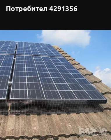 Борба с гълъби град Плевен ; Почистване и дезинфекция., снимка 4 - Други почистващи услуги - 47865111